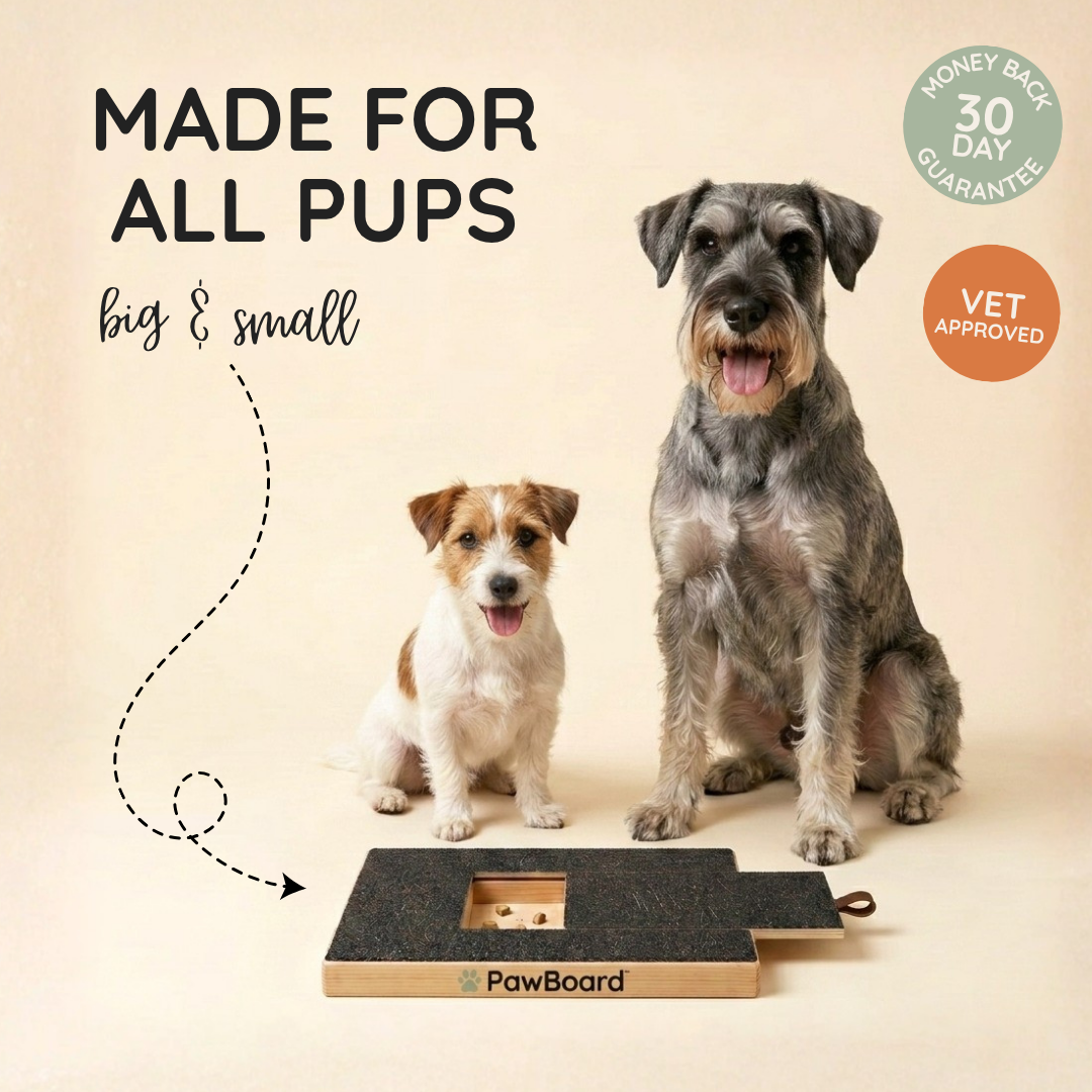 PawBoard™ with treat draw