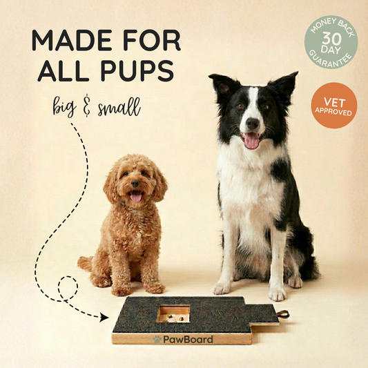 PawBoard™ with treat draw