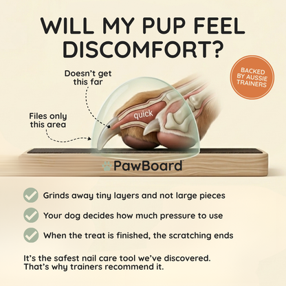 PawBoard™ with treat draw
