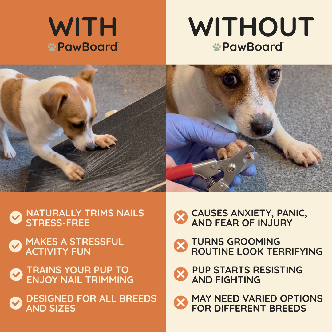 PawBoard™ with treat draw